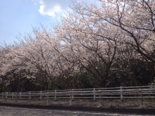 平和館諫早本店～諫早/長崎/大村/島原/雲仙/南島原のみなさまご利用ください　金/プラチナ/ブランド品/時計/金券/切手ハガキの高価買取＆販売